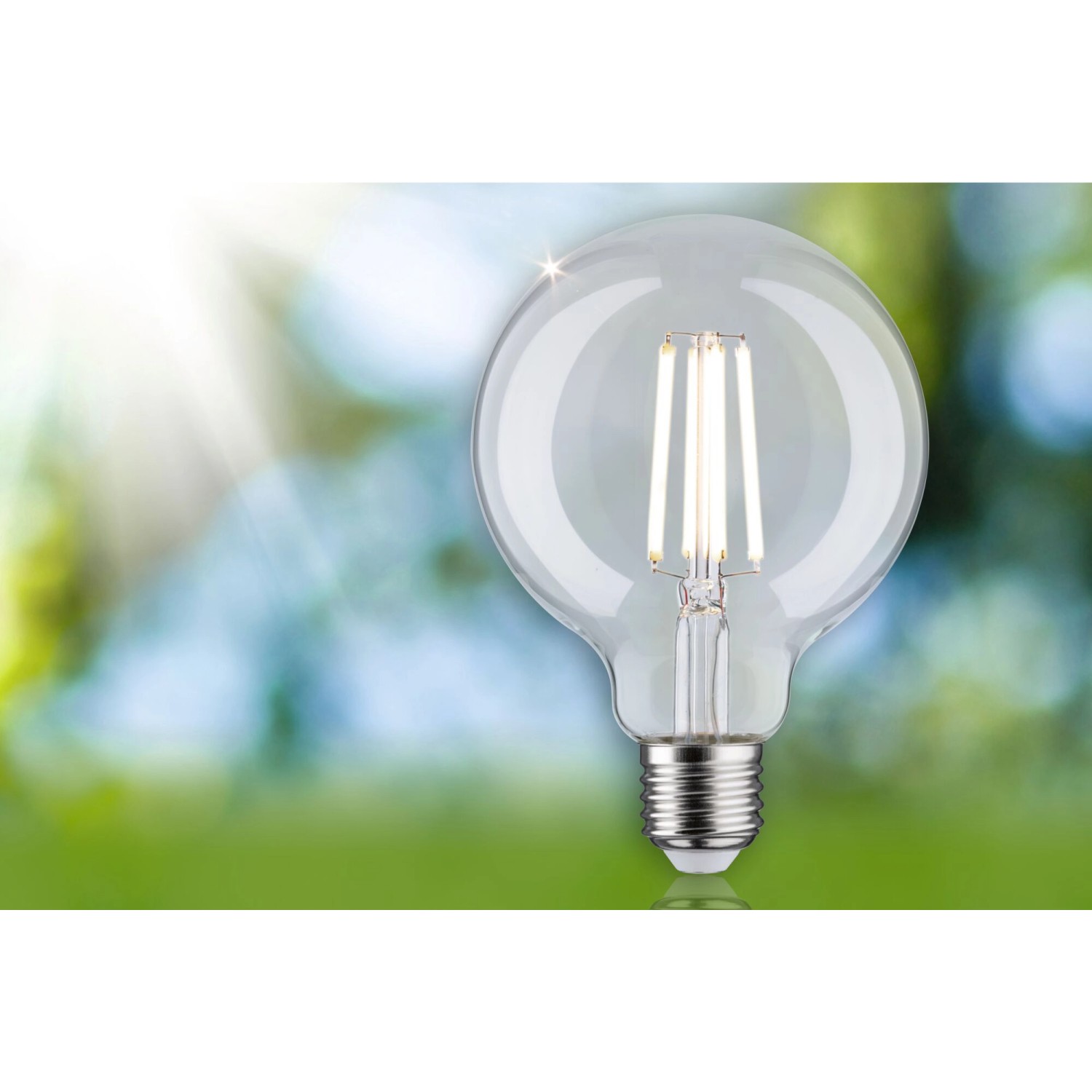 Paulmann Eco Line LED Leuchtmittel E27 Globe Filament G95 840 Lm 4W