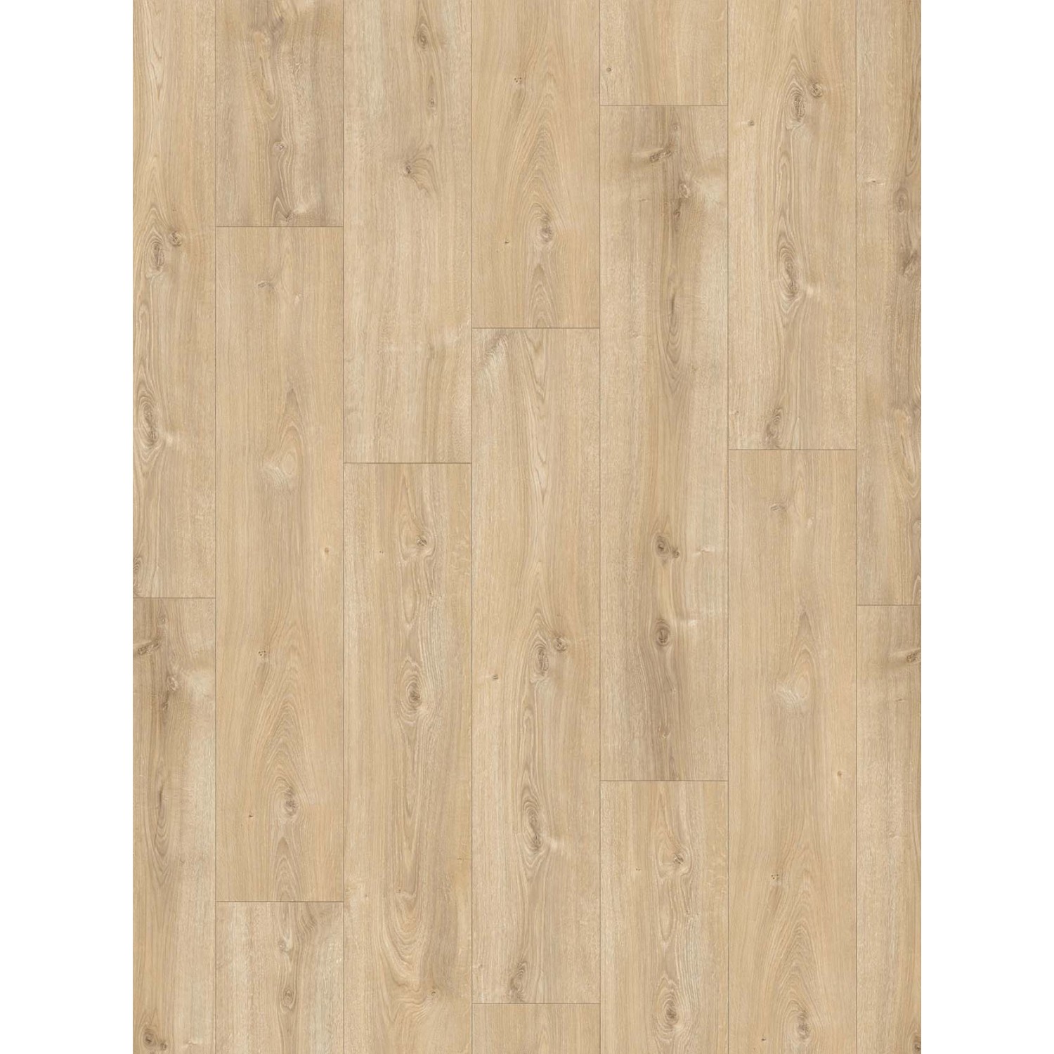 Parador Laminat Basic Eiche Nova Hell Gek Lkt Naturstruktur Kaufen