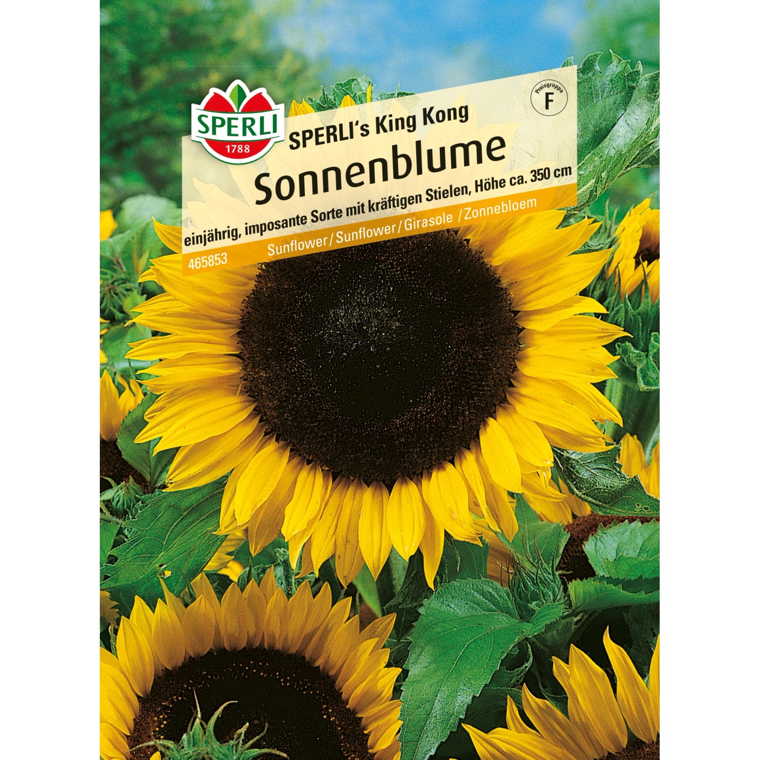 Sperli Sonnenblume Sperlis King Kong Gelb Kaufen Bei OBI