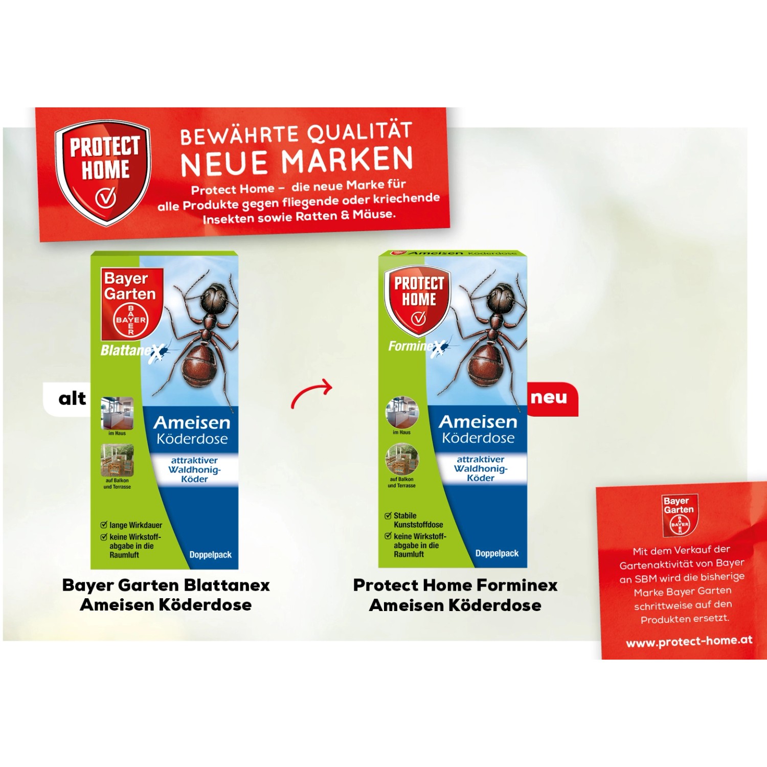 Protect Home FormineX Ameisen Köderdose 2 Stück kaufen bei OBI