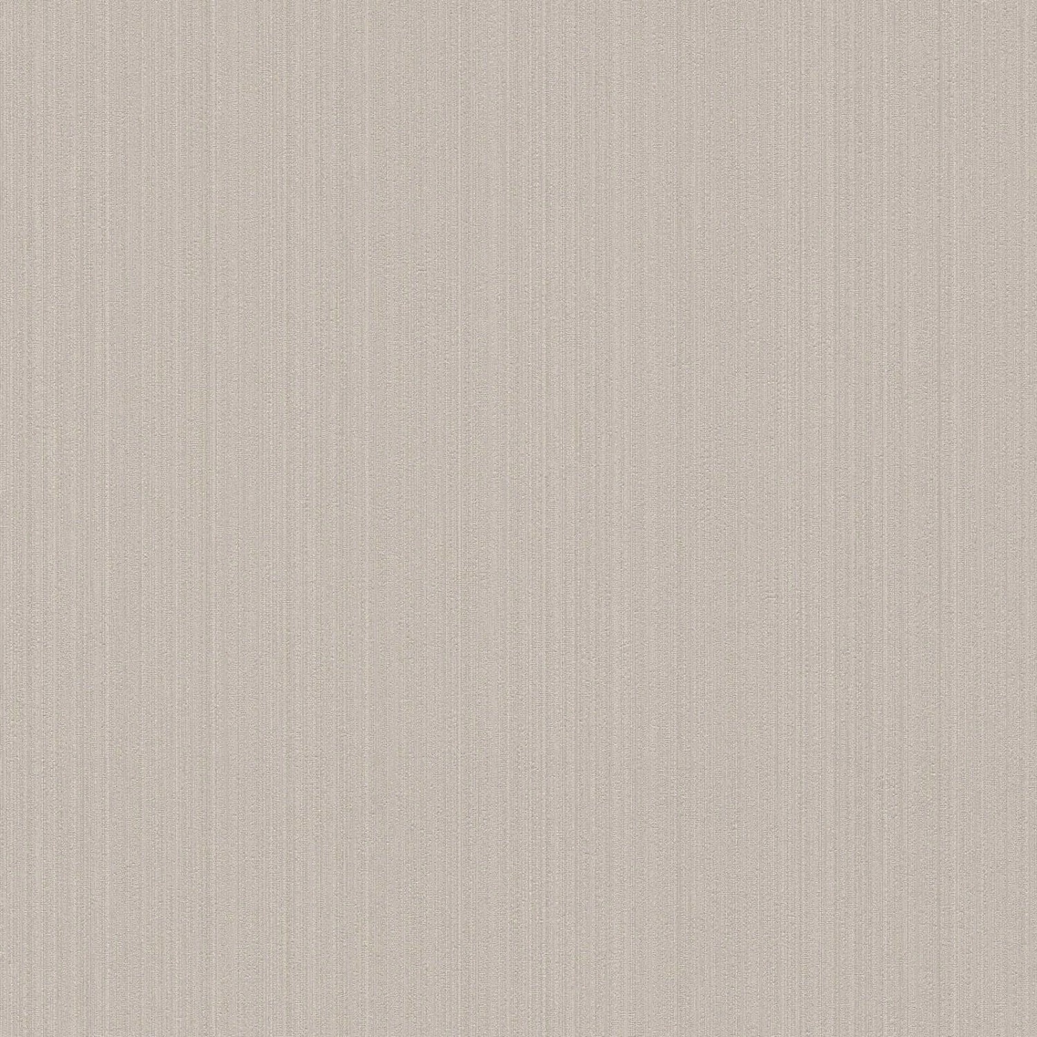 Bricoflor Taupe Tapete Schlicht Moderne Uni Vliestapete Grau Beige Mit