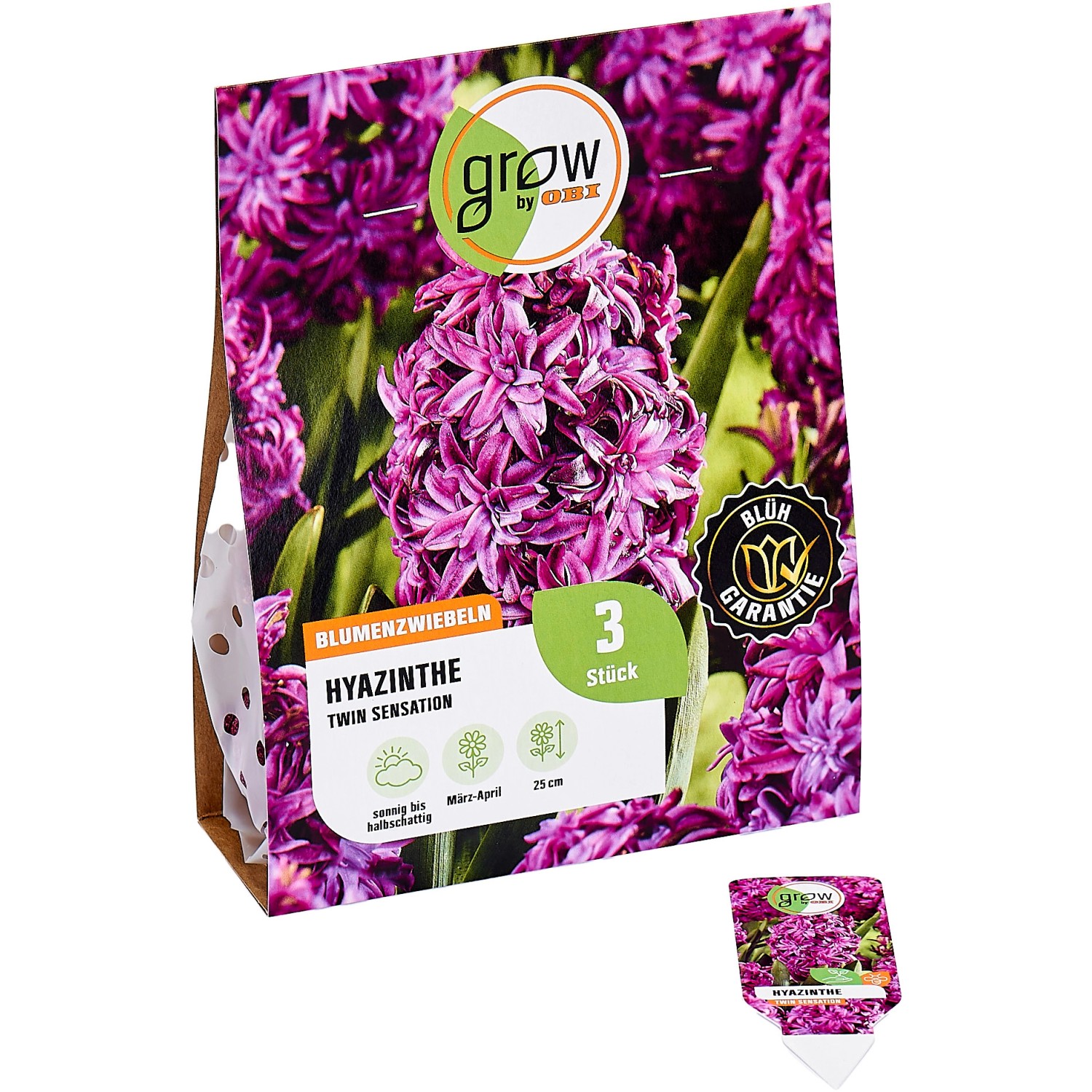 Grow By Obi Hyazinthen Blumenzwiebel Lila Twin Pearl St Ck