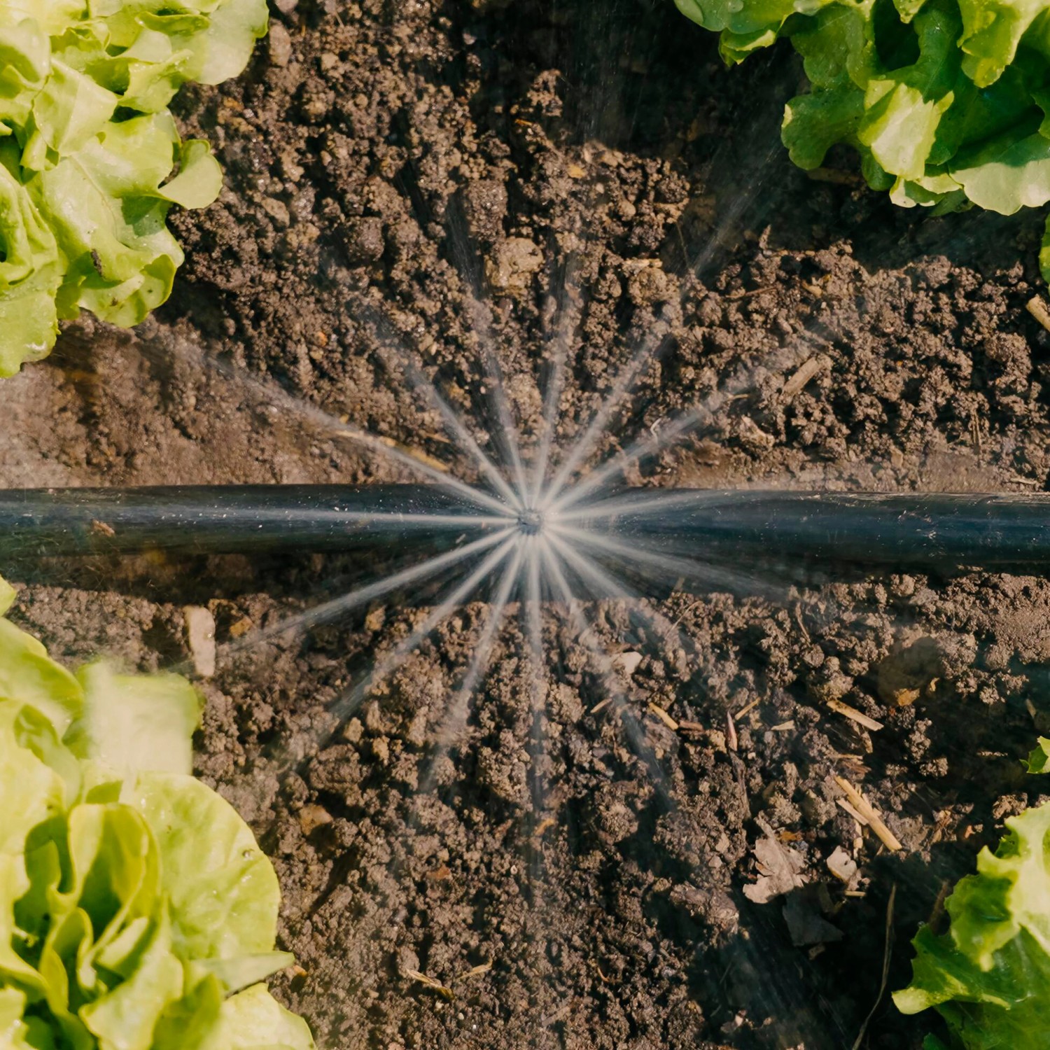 Gardena Tropfbewässerung Set Gemüse Blumenbeet 60 m² zuverlässig