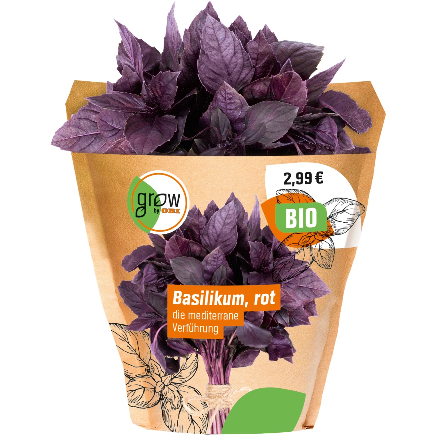 Grow By Obi Bio Basilikum Topf Ca Cm Ocimum Basilicum Kaufen