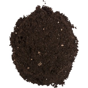 Compo Sana Grünpflanzen- und Palmenerde, braune Erde mit weißen Perlit-Punkten.