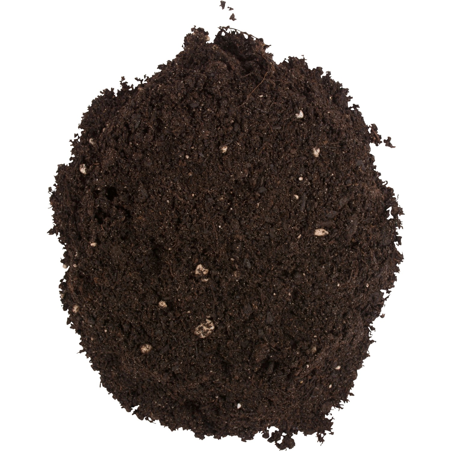 Compo Sana Grünpflanzen- und Palmenerde, braune Erde mit weißen Perlit-Punkten.