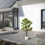 ML-Design Kunstpflanze Orangenbaum 130 cm mit grünen Blättern und orangen Früchten im weißen Topf auf Terrasse.