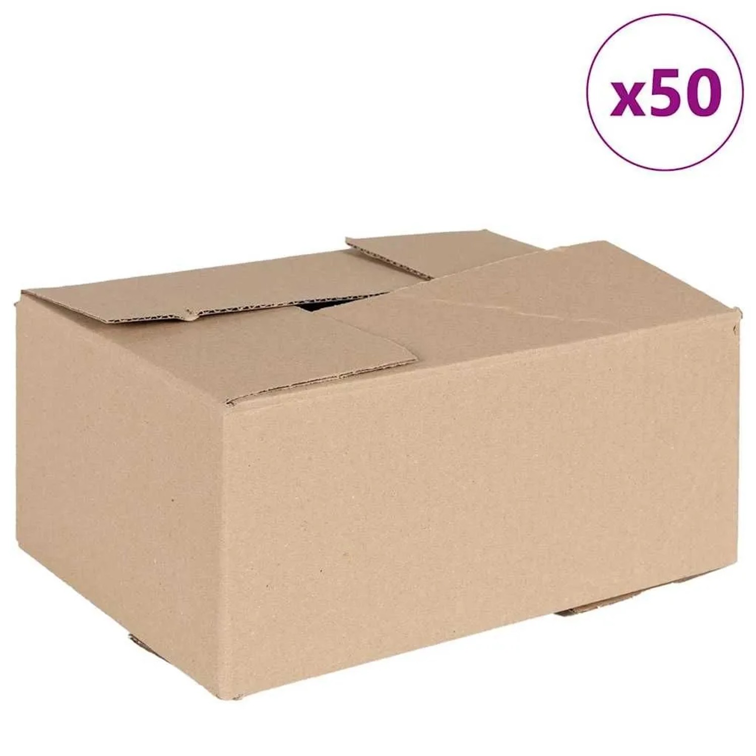 vidaXL Faltbox mit Speicher 50 Stk Natur 30 x 21,5 x 14 cm Karton 4106567_2