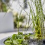Heissner Solar-Wassergarten Lotusgarden mit Pflanzen und Wasserspiel im Detail.