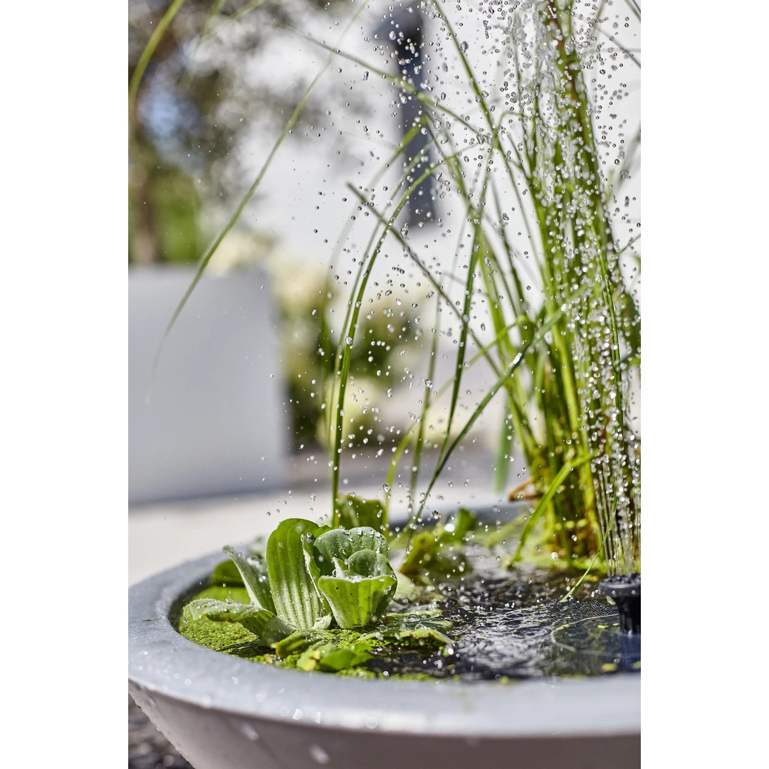 Heissner Solar-Wassergarten Lotusgarden mit Pflanzen und Wasserspiel im Detail.