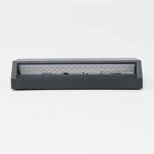 Schwarze, rechteckige LED Außen-Wandleuchte aus Kunststoff, IP65, mit sichtbaren LEDs.