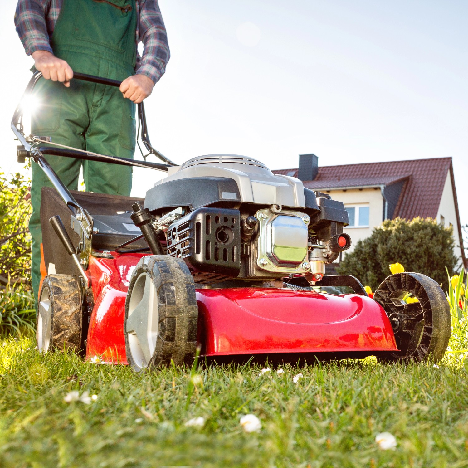 Roter Rasenmäher mit Mann im Garten, betrieben mit Aspen 4-Takt-Gemisch Sonderkraftstoff.