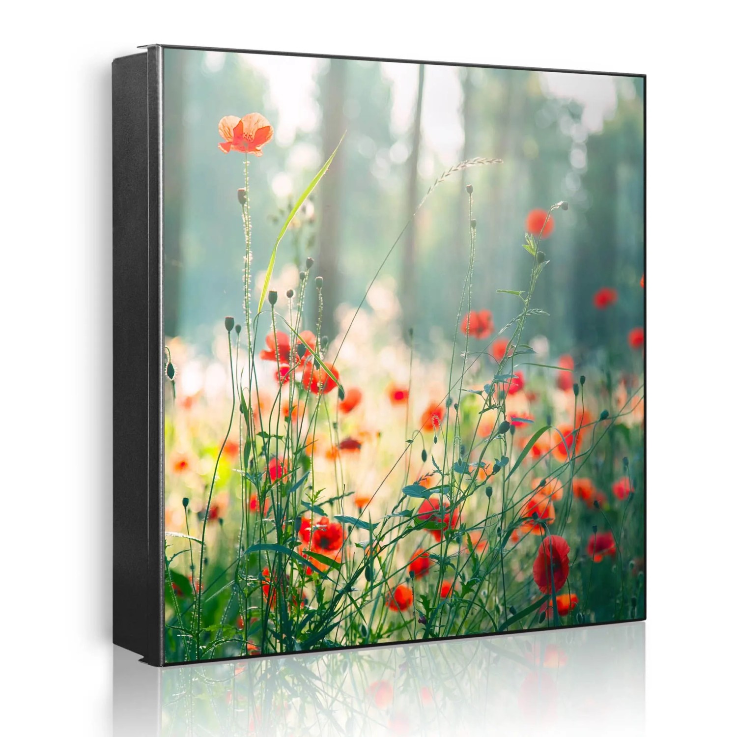 Banjado Großer Schlüsselkasten Metall 30x30cm Schwarz Scharnier Links 50 Haken Beschreibbar Magnetisch Motiv Waldmohn