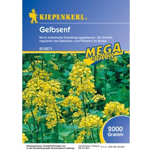 Kiepenkerl Gelbsenf 2 kg: Sämereien zur Gründüngung mit gelben Blüten.