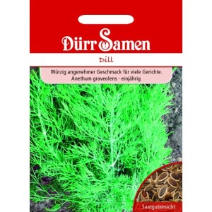Dürr Samen Dill Saatgutpackung mit üppigen grünen Dillpflanzen und braunen Samen. Küchenkräuter Anethum graveolens.