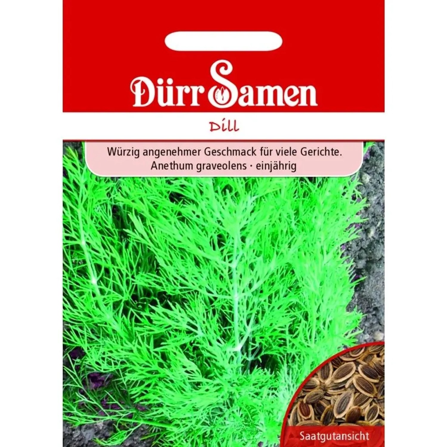 Dürr Samen Dill Blattreicher Saatgut