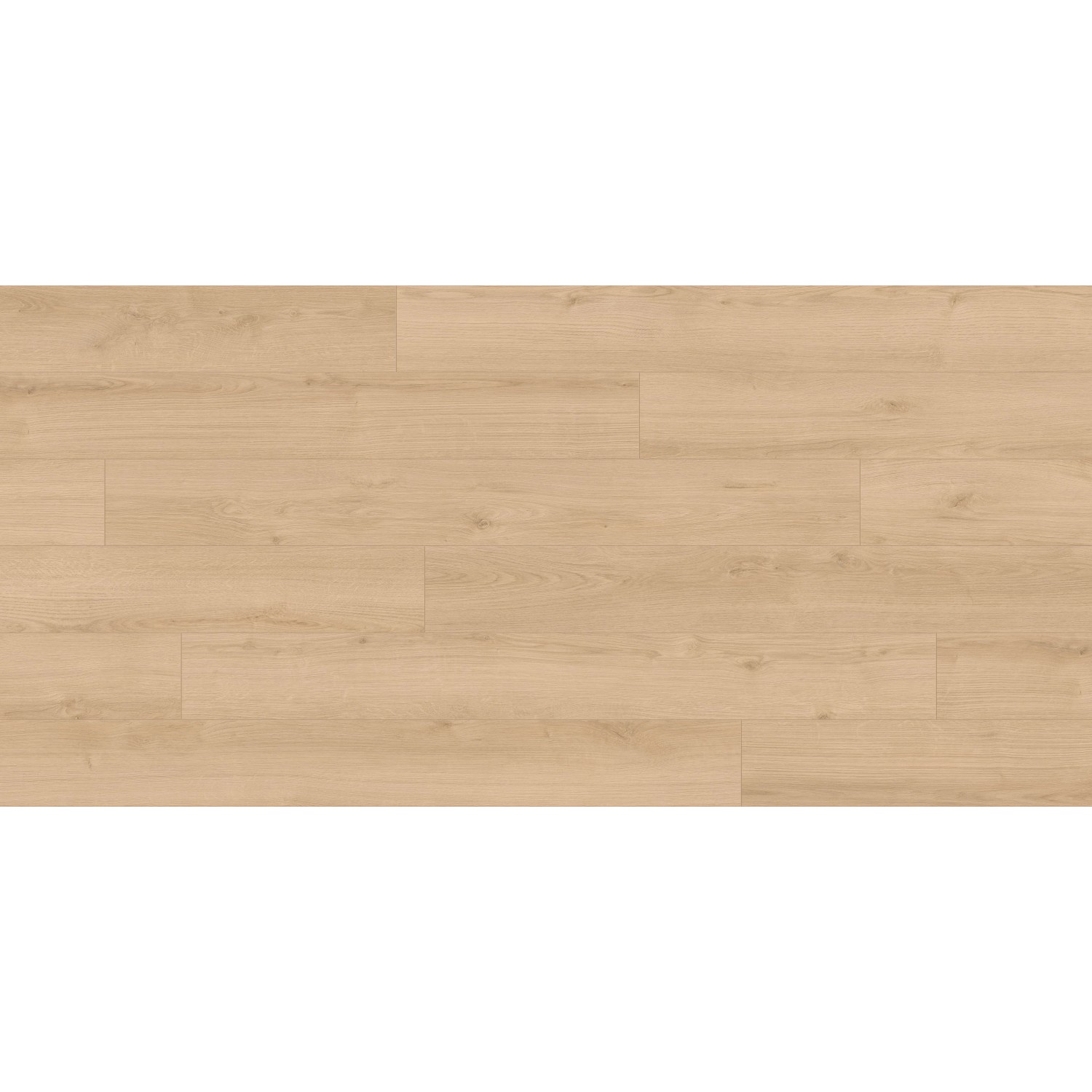 Kaindl Excellent Laminat 8 mm Wasserfest Eiche Evoke Crystal