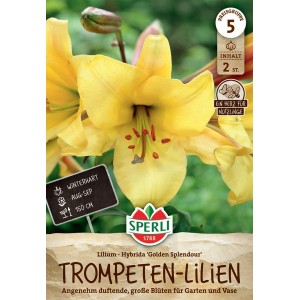 Sperli Blumenzwiebeln Lilie Golden Splendor