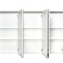 Offener, anthrazitfarbener Sieper Spiegelschrank, 120 cm breit, mit Glasablagen und drei Türen.