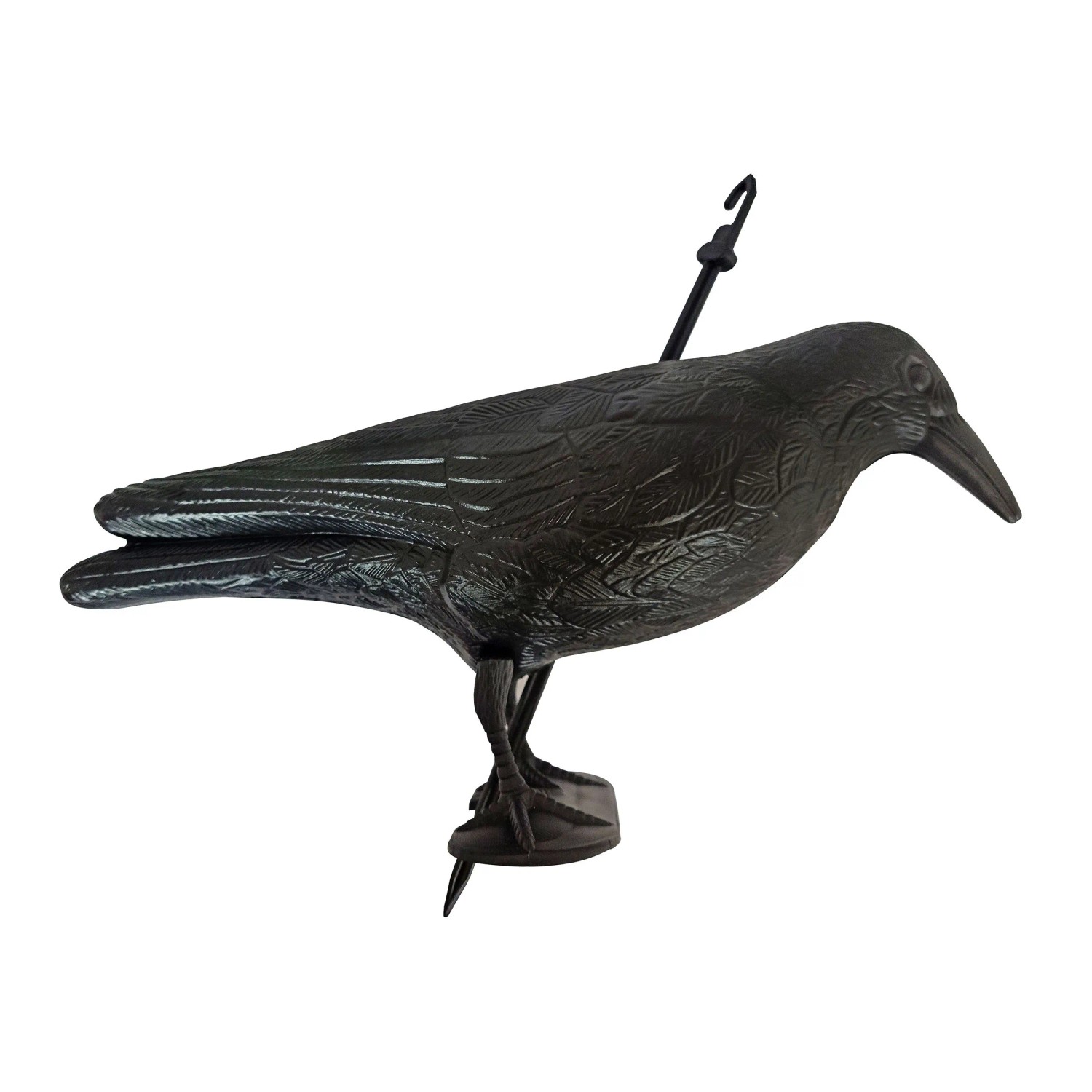 Swissinno Taubenabwehr-Rabe_3