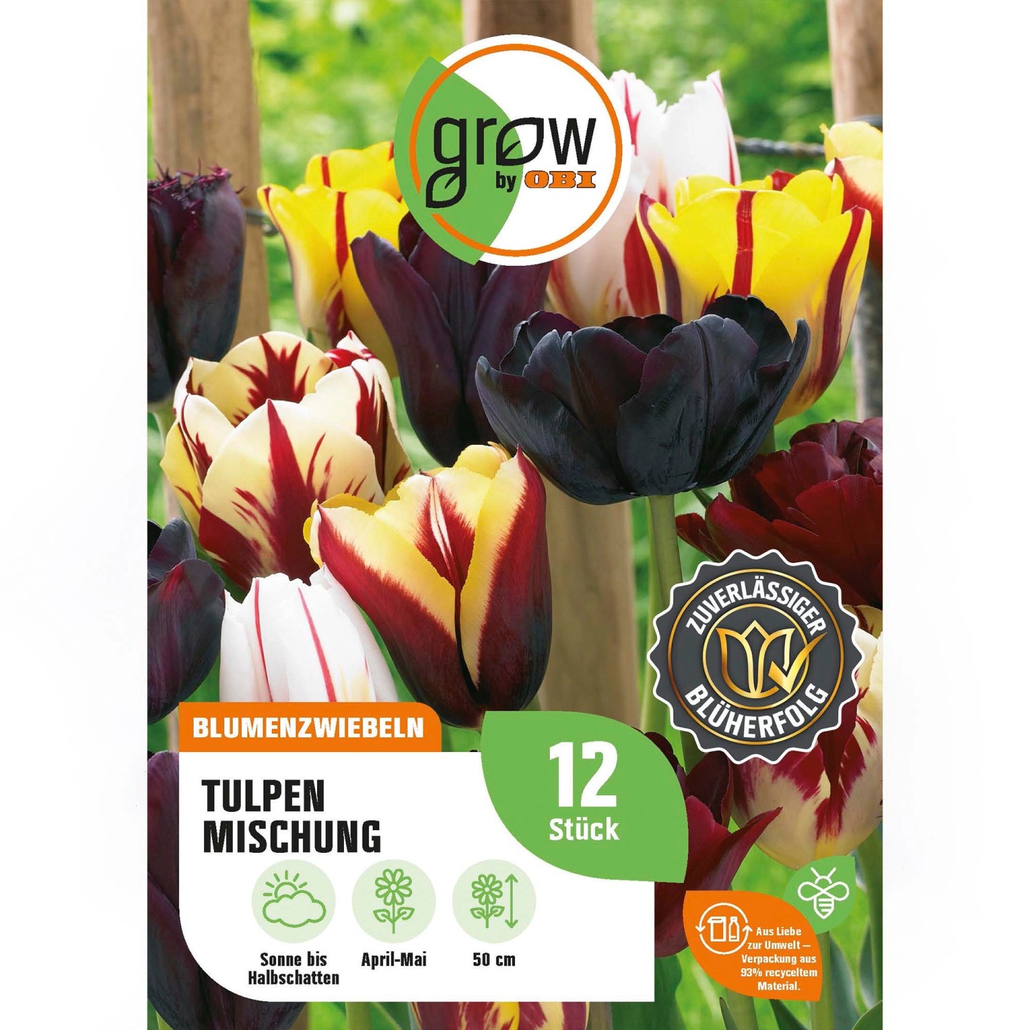 GROW by OBI Tulpen Mischung Nr. 4 / 12 Stück Tulipa mix günstig online kaufen