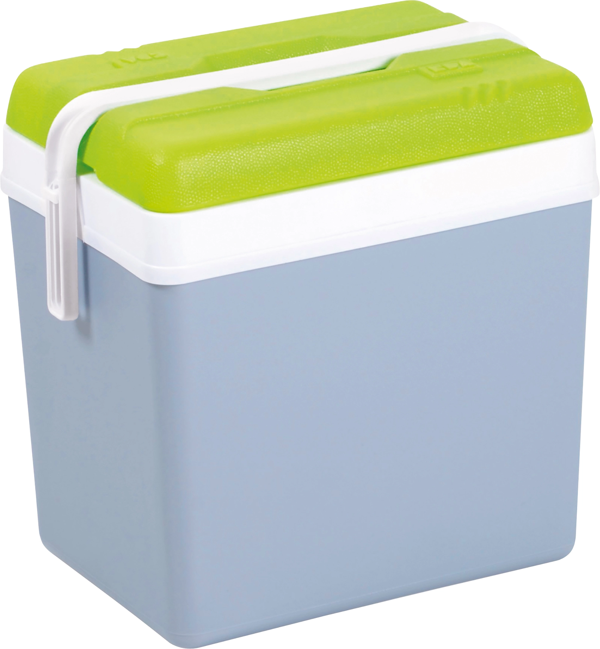 Kühlbox Perlgrau und Grün 24 l kaufen bei OBI