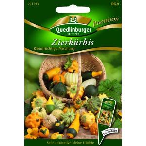 Quedlinburger Zierkürbis 'Kleinfrüchtige Mischung' im Korb, verschiedene Farben und Formen.