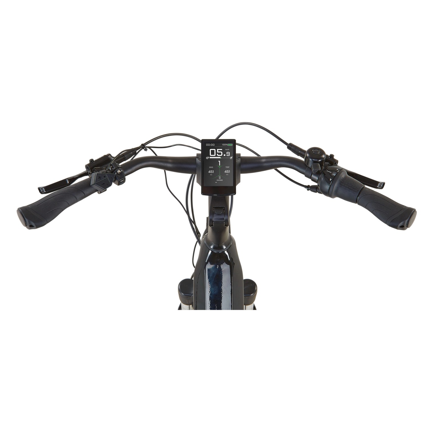 Cockpitansicht des Prophete City E-Bike Geniesser 5.0 mit TFT-Farbdisplay.