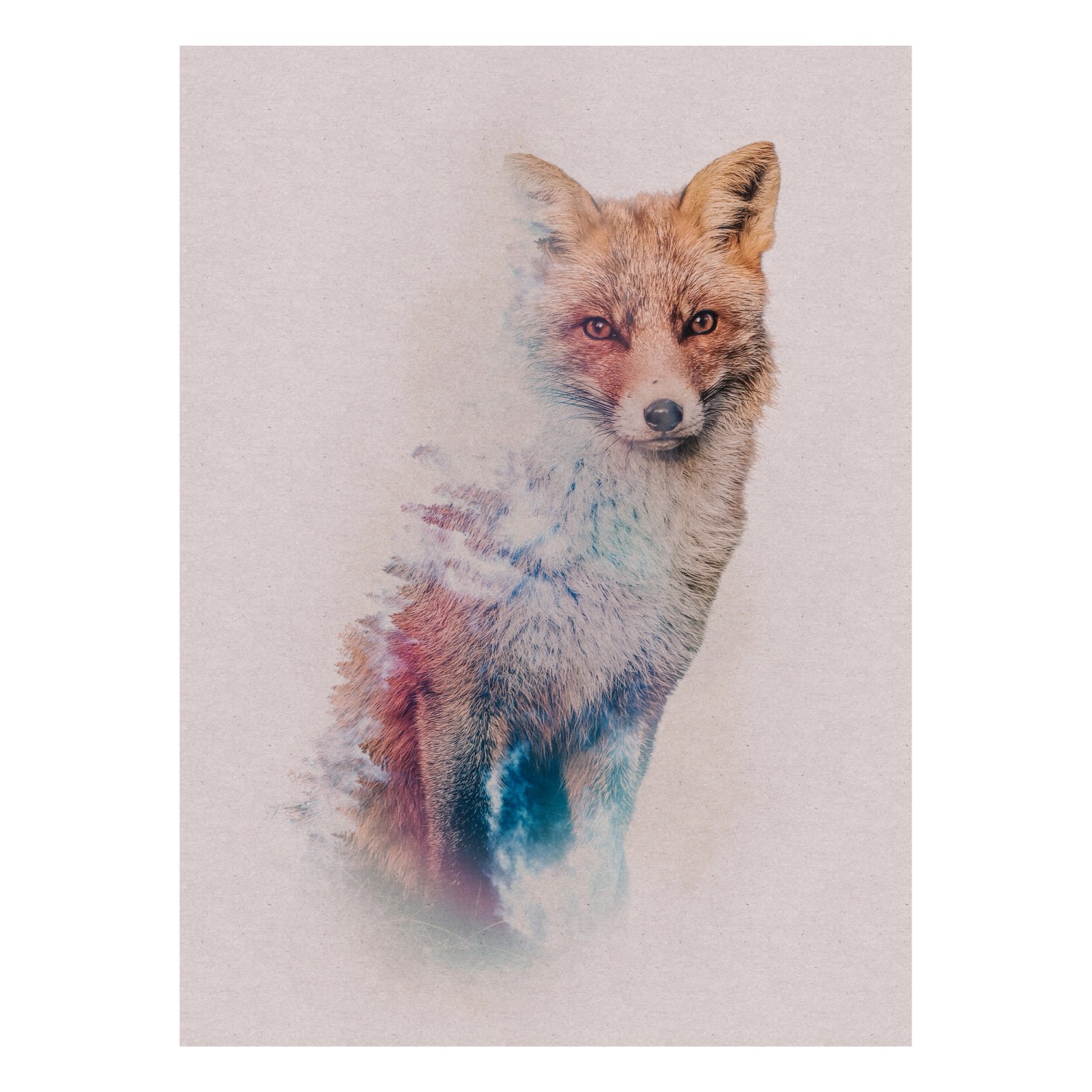 Komar Wandbild Animal Forest Fox 30 cm x 40 cm