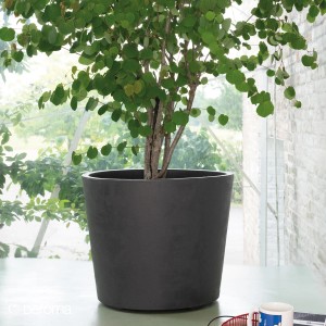 Anthrazitfarbener Deroma Pflanztopf Millennium mit Rollen, Durchmesser 59 cm.