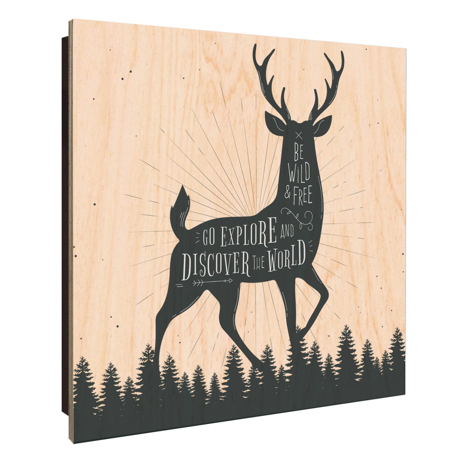 Banjado Schlüsselkasten Holz 30x30cm Schwarz Scharnier Rechts 50 Haken Desi günstig online kaufen