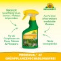 Neudorff Promanal AF Grünpflanzen Schädlingsfrei 250ml: Sprühflasche zur Bekämpfung von Schildläusen.