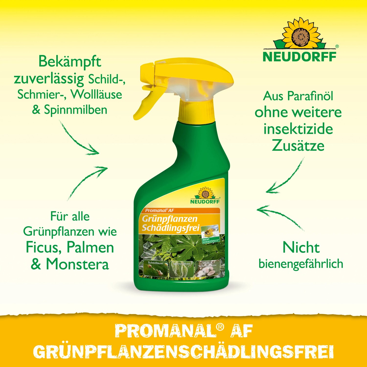 Neudorff Promanal AF Grünpflanzen Schädlingsfrei 250ml: Sprühflasche zur Bekämpfung von Schildläusen.