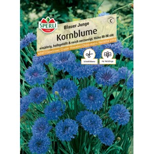 Samenpackung Sperli Kornblume Blauer Junge mit blauen Blüten.