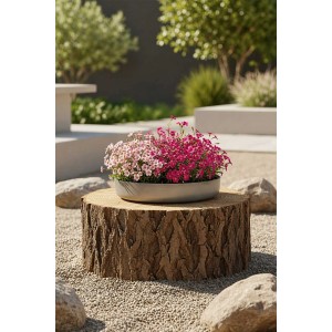 VIVANNO Pflanzschale ORYVEN, 30 cm, betongrau, mit rosa und pinkfarbenen Blumen auf Baumstumpf im Garten.