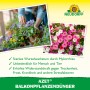 Neudorff Azet Balkonpflanzen-Dünger: Frau pflanzt Blumen auf dem Balkon, Nahaufnahme von Blüten.