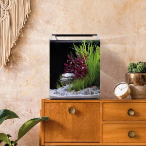 Dennerle Nano Cube Basic 30 l Aquarium mit Pflanzen, Steinen und roten Garnelen auf Holzkommode. Klares Floatglas, LED-Beleuchtung.