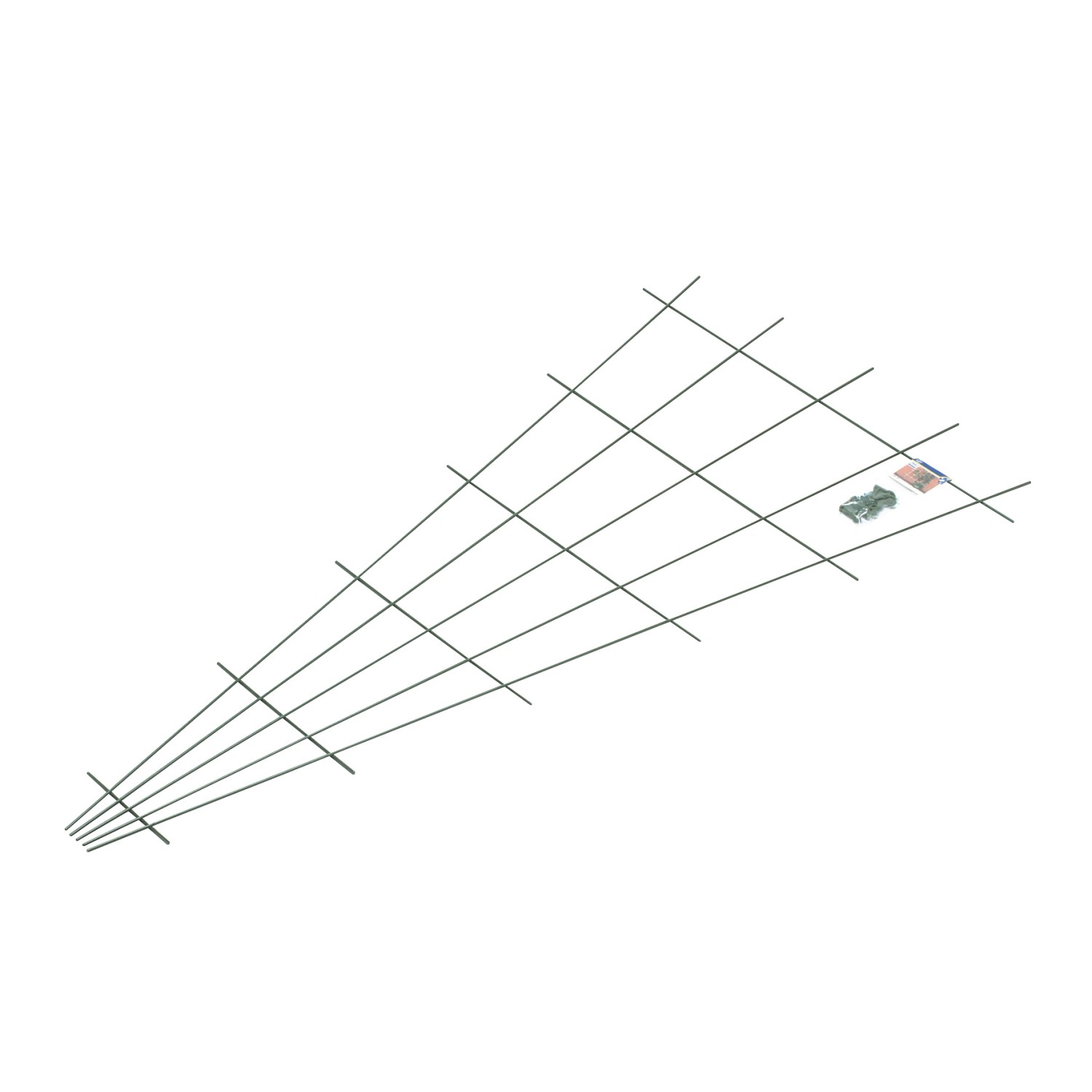 Fächerspalier 150 cm x 75 cm Grün