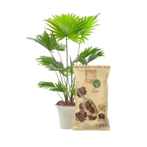 Dr.Soil vulkanische Lava im 1L Beutel neben einer Zimmerpflanze im Topf.