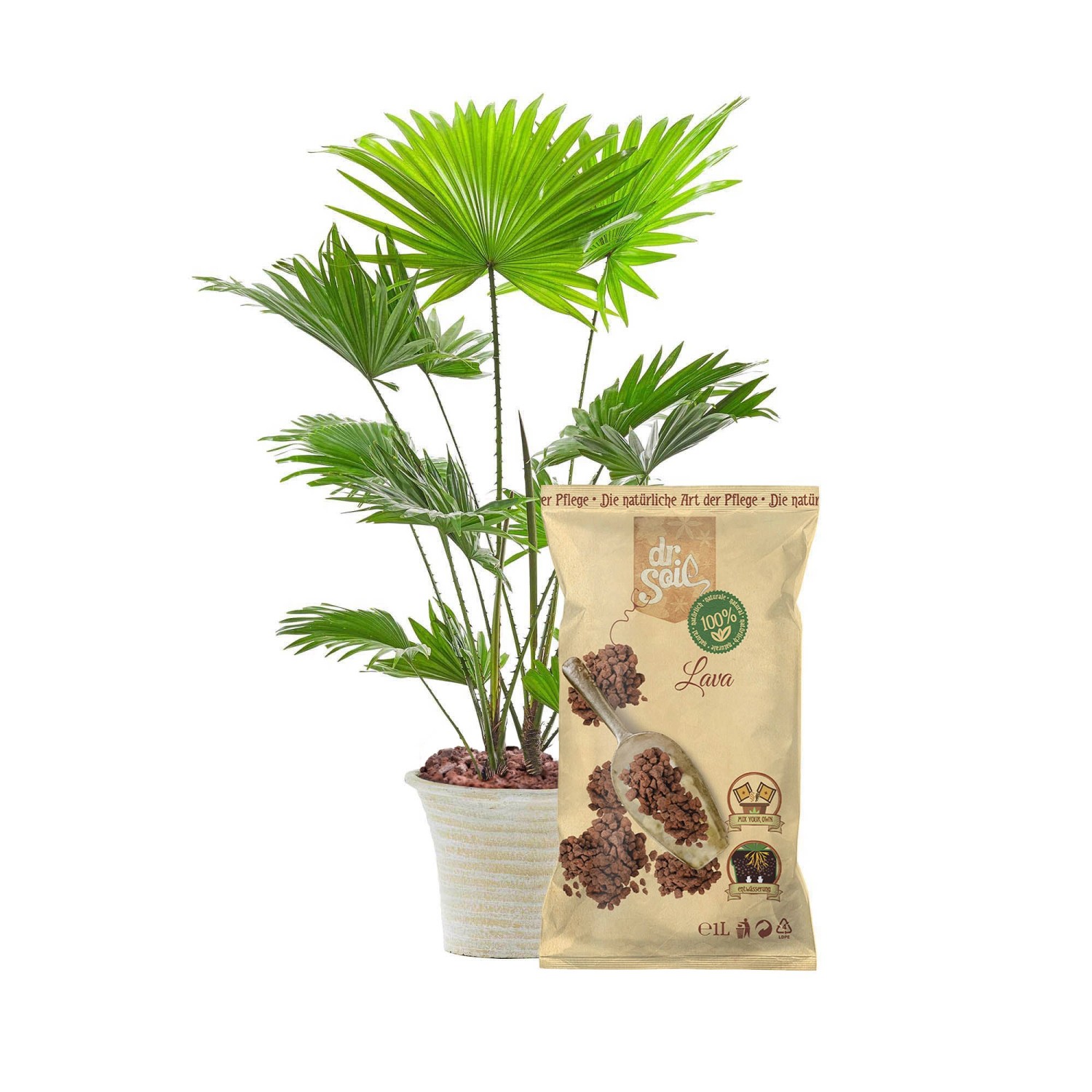 Dr.Soil vulkanische Lava im 1L Beutel neben einer Zimmerpflanze im Topf.