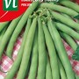 Grüne Bohne 'Prelude' Saatgut ca. 50 g Hoher Ertrag