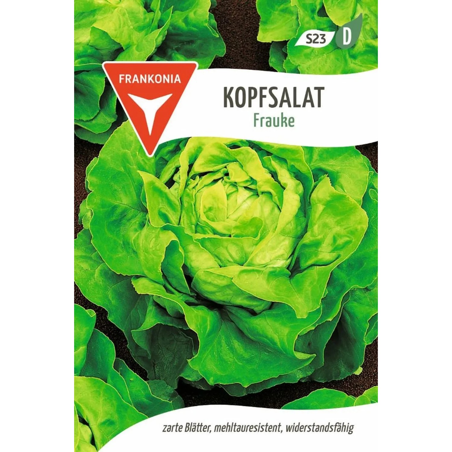 FRANKONIA Kopfsalat Frauke