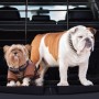 Schwarzes, verstellbares Hundegitter aus Stahl/Kunststoff im Kofferraum trennt zwei Hunde sicher ab.