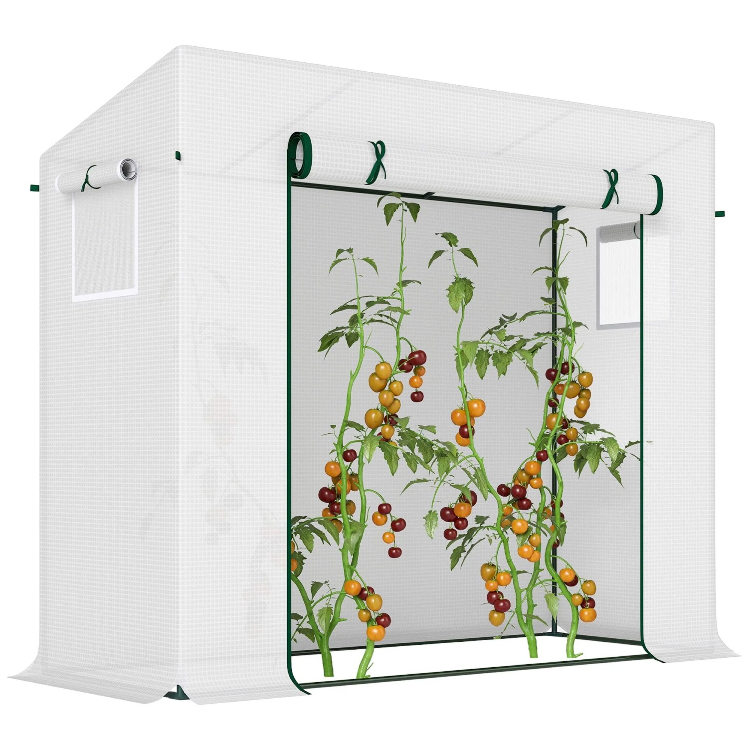 Furnicato Gewächshaus Mit Seitenfenster Aufrollbare Tür Winddicht Stahlrahmen Kunststoffplane Weiß 200 X 76 X 168 Cm
