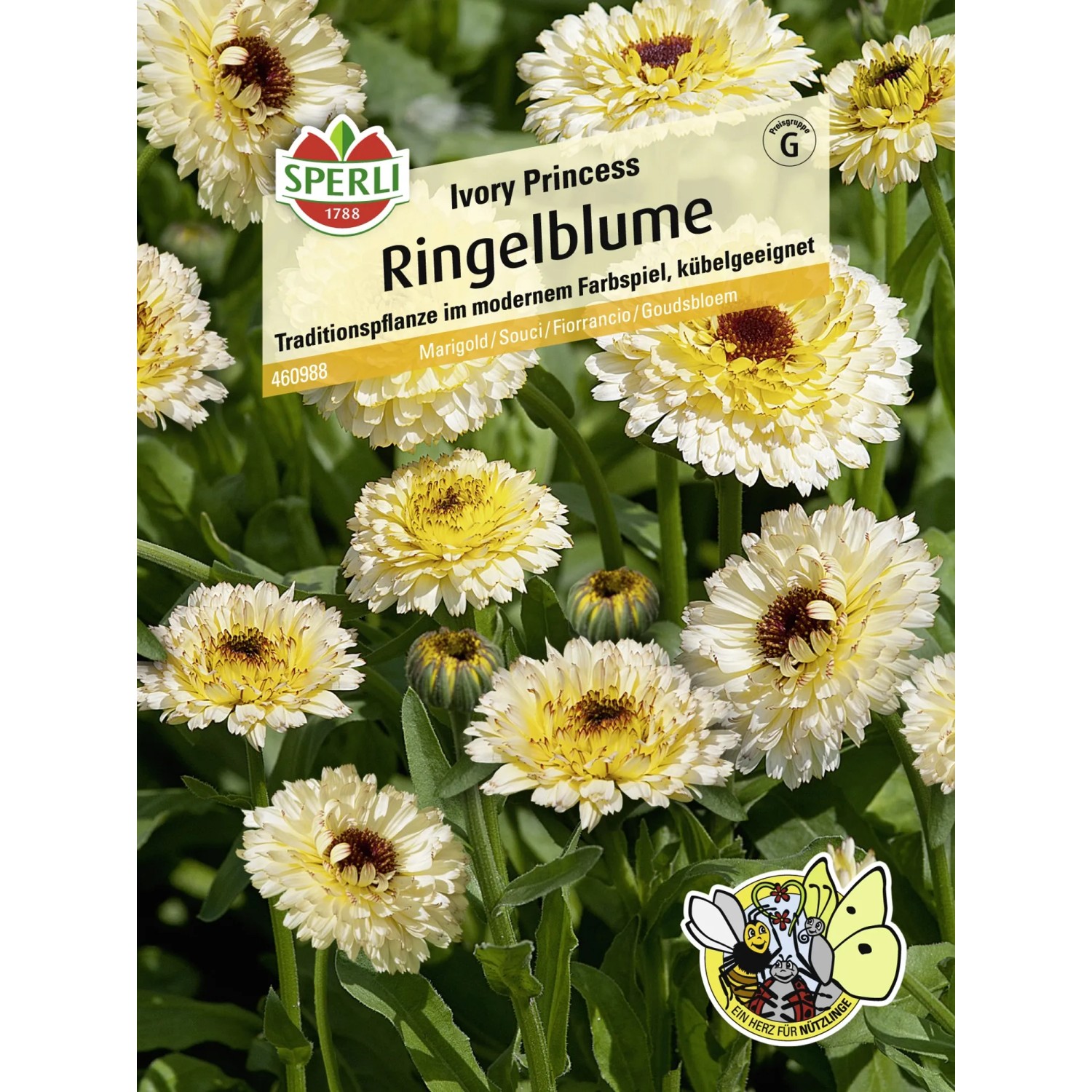 Sperli Ringelblume "Ivory Princess" Gelb Calendula