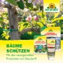 Blühender Obstbaum mit Neudorff Produkten: Schädlings-Schutznetz, Raupenleimring, Insektenleim zur Baumpflege.