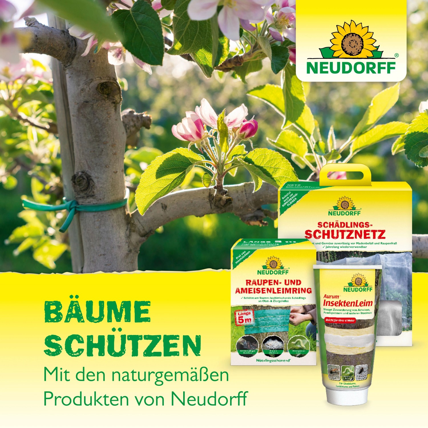 Blühender Obstbaum mit Neudorff Produkten: Schädlings-Schutznetz, Raupenleimring, Insektenleim zur Baumpflege.
