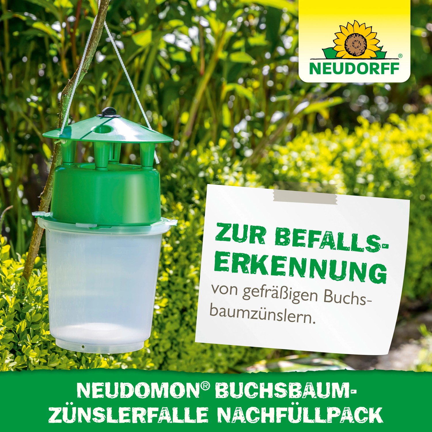 Neudorff Neudomon Buchsbaumzünslerfalle Nachfüllpack, zur Befallserkennung.