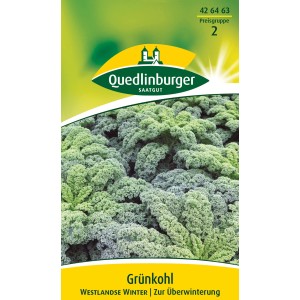 Samentüte Quedlinburger Grünkohl 'Westlandse Winter' mit dunkelgrünen, gekrausten Blättern.