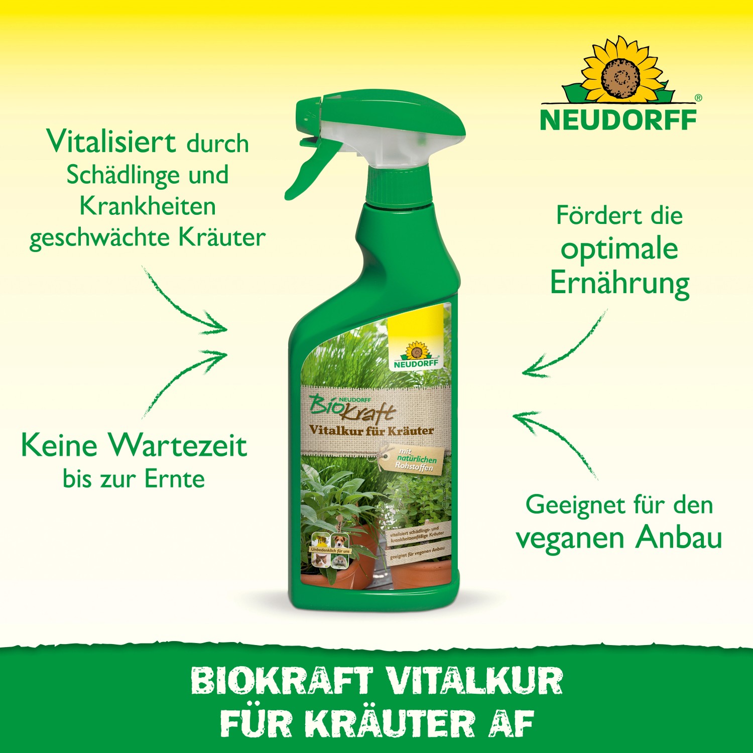 Neudorff BioKraft Vitalkur für Kräuter, 500ml Flasche, Pflanzenstärkungsmittel für gesunde Kräuter.